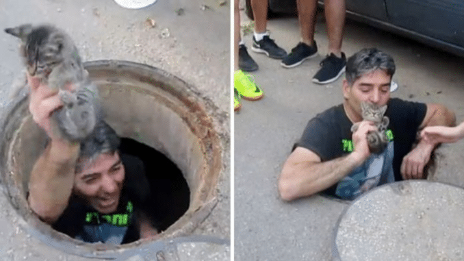 Courageous Guy Jumps into Storm Drain to Save Kitten