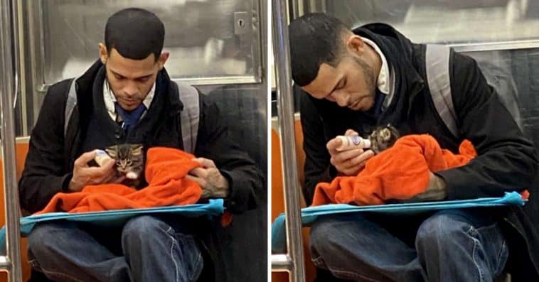 Man Adorably Takes Care Of Tiny Kitten On Subway And The Photos Instantly Go Viral