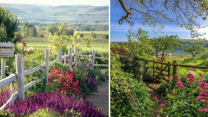 Creating Your Backyard Oasis: Inspiring Ideas for a Beautiful and Relaxing Garden