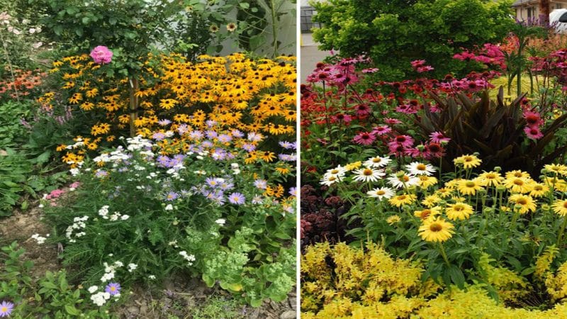 A Naturalistic Garden Delight: Exploring New Jersey’s FineGardening Paradise