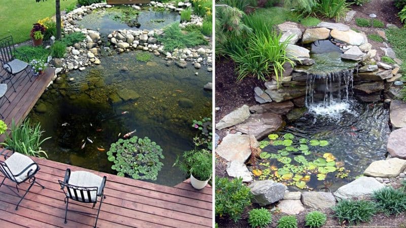 Enhance Your Garden Oasis with Stunning Ponds and Water Gardens
