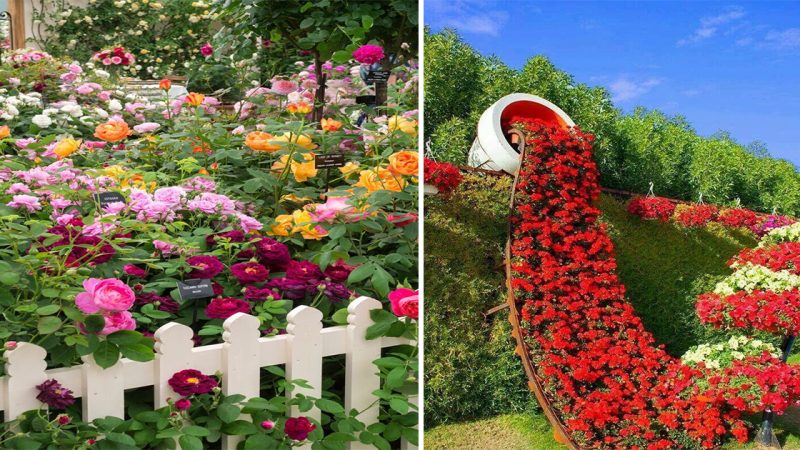 Enchanting Your Summer: Transform Your Garden into a Magical Oasis