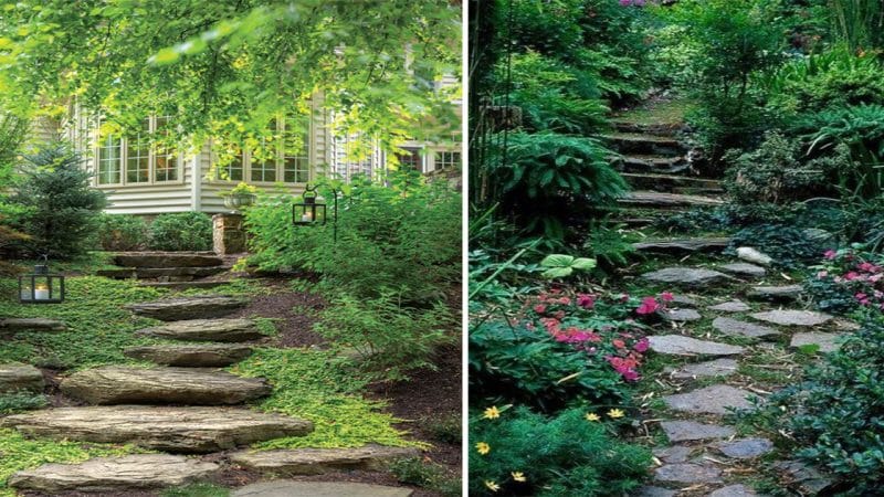 Ascending to Tranquility: Exploring the Serene Garden and Stone Ladder