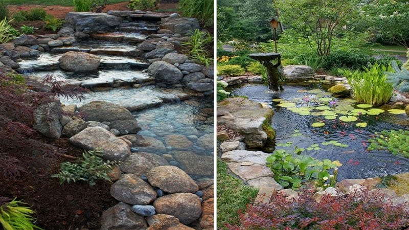 A Harmonious Symphony: The Serene Fusion of Garden and Water