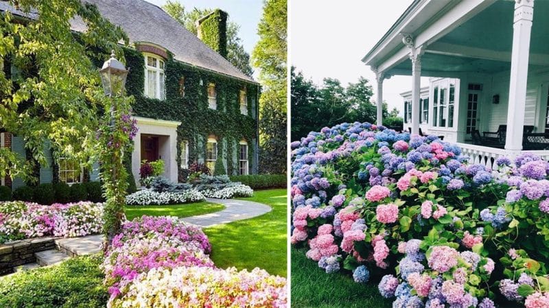 A Blossoming Tapestry: The Delightful Union of Flowers and Houses