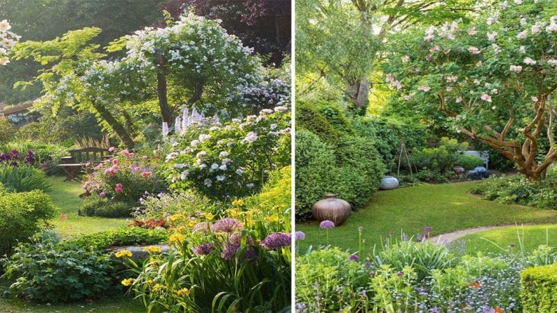 Embracing Nature’s Beauty: Exploring the Serene Delights of the Garden