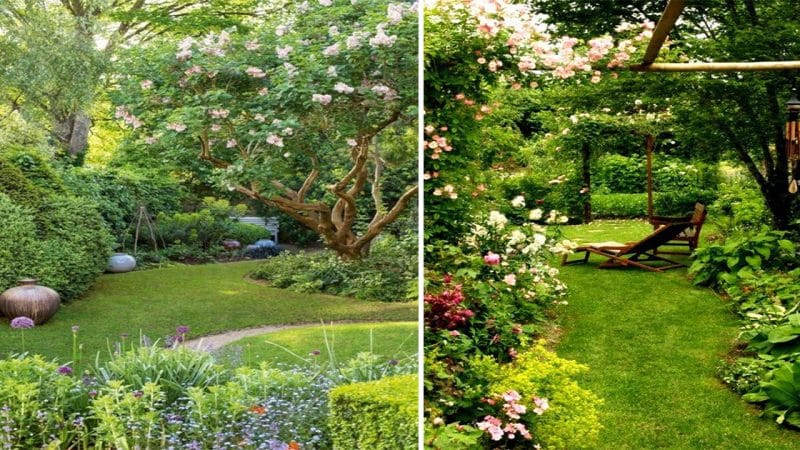 Immerse Yourself in the Beauty: A Paradise for Garden Lovers