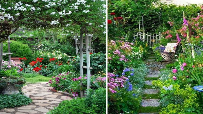 Achieving Garden Perfection: Unveiling the Secrets of a Picture-Perfect Paradise