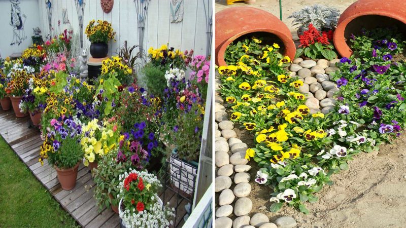 Blooming Beauty: Exploring the Enchanting World of Gardens and Flower Pots