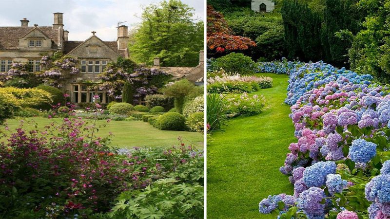 Hydrangea Haven: Exploring the Enchanting Beauty of Gardens with Hydrangeas
