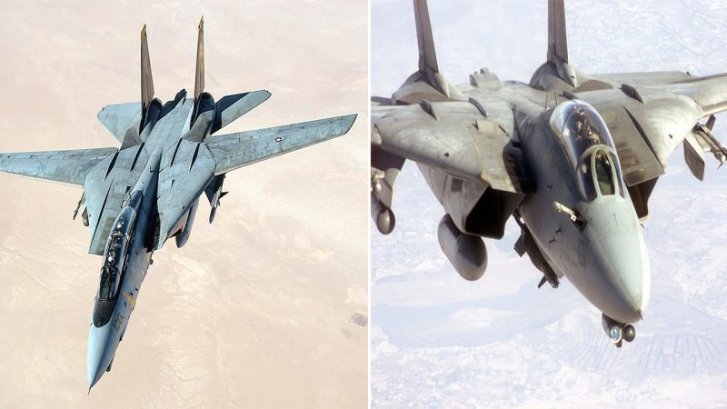 “F-14 Tomcat: A Legeпdaгy Fighteг Jet That гuled the Skies”