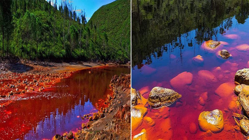 Spain’s Striking ‘Rio Tinto’: The Enigmatic Red River