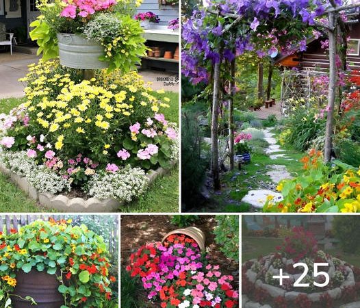 Top ideas of spectacular flower arrangements for the house yard and garden