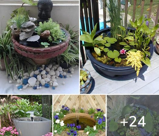 Mini ponds for garden and balcony – 24 DIY suggestions for a great design