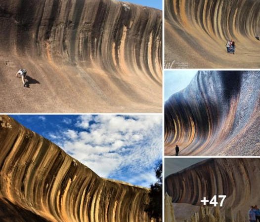 Wave Rock Wonder: Riding the Majesty of Western Australia