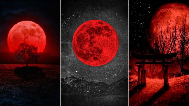 The Lunar Eclipse Chronicles: Exploring the Mystique of the Blood Moon