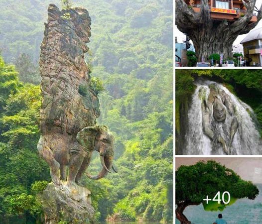 Unveiling leɡendѕ: Enormous Rock Formations Resembling Animals and People Discovered