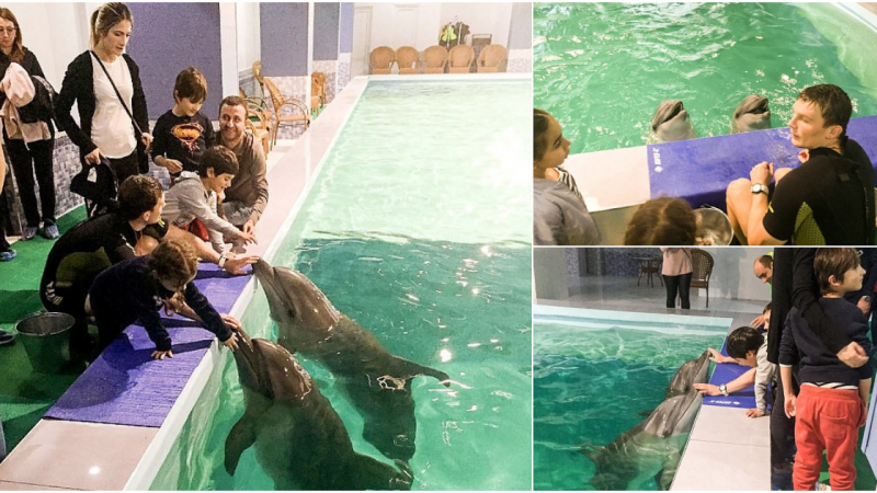 Backlash Against Hotel Keeping Dolphins in Basement Pool for Dubious Therapy