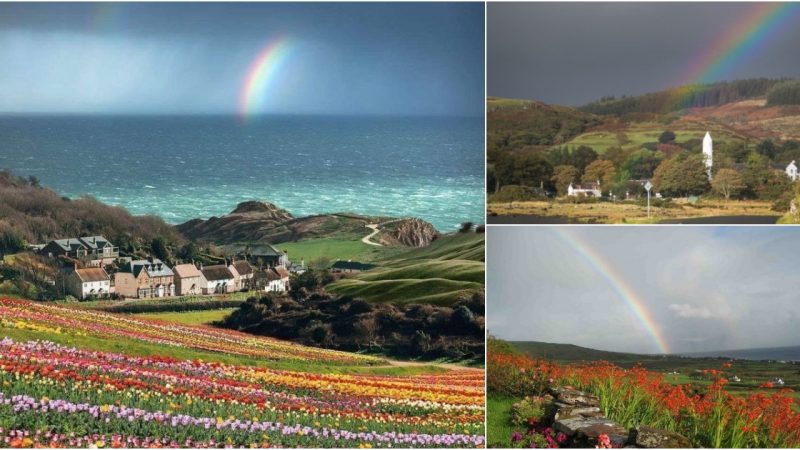 Enchanting Rainbows and Blooming Fields: Discover the Magic of Lulworth Cove, UK