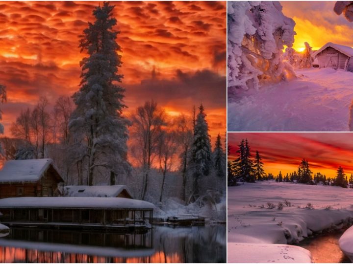 Fire and Ice: Alaska’s Fiery Skies Over a Winter Wonderland