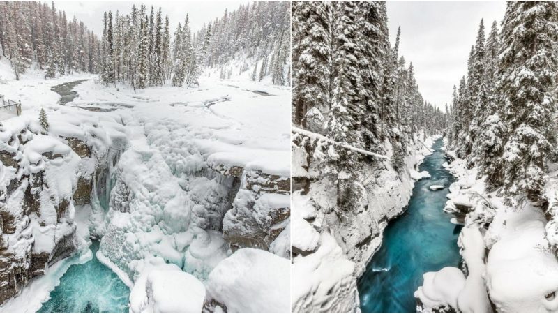 Winter Wonderland at Sunwapta Falls: A Majestic View in Jasper National Park, Canada!