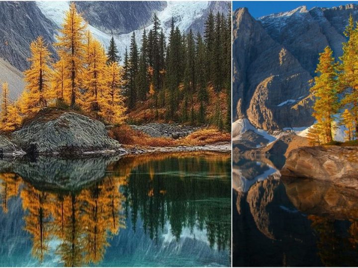 Exploring the Wilderness of Kootenay National Park, Canada 🌲