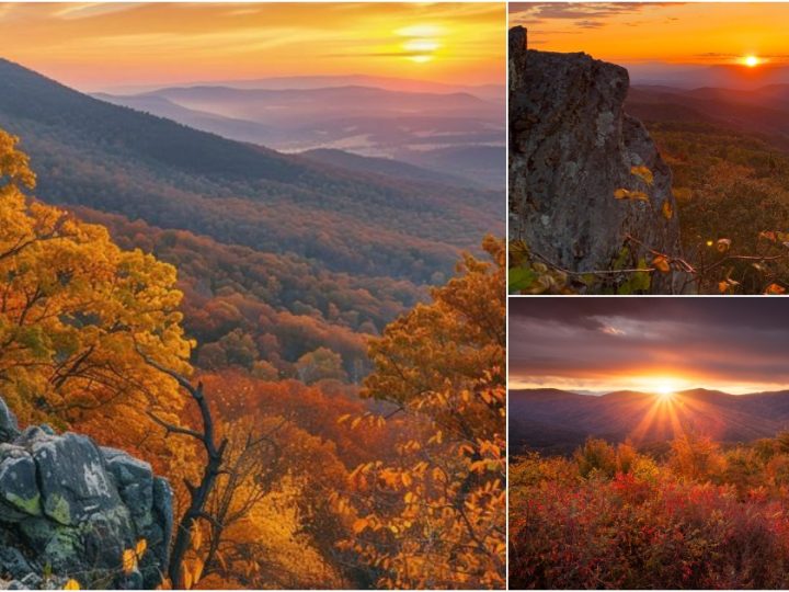 Majestic Sunrise Over the Shenandoah Mountains, Virginia 🌅