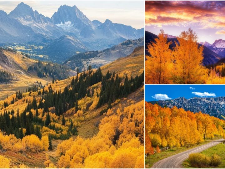 Autumn Splendor in the San Juan Mountains, Colorado: A Scenic Journey Through Nature’s Colors